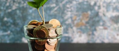 Coins in a clear pot with a sapling growing out of it